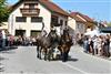 Više od 100 konjskih zaprega hodočastilo u Mariju Bistricu