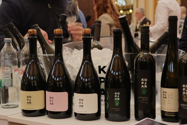 KZZ Bregp20 (web)
