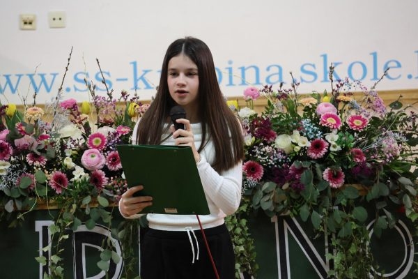 KZZ Lidrano30 (Copy)