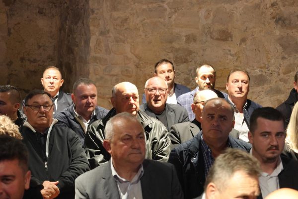 Dan Općine Desinić (3)