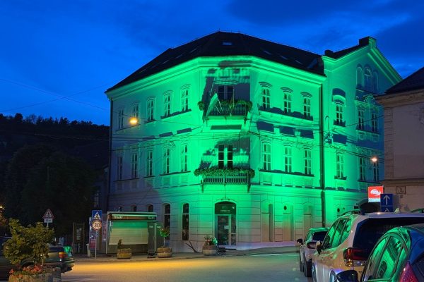 KZZ miatenija gravis