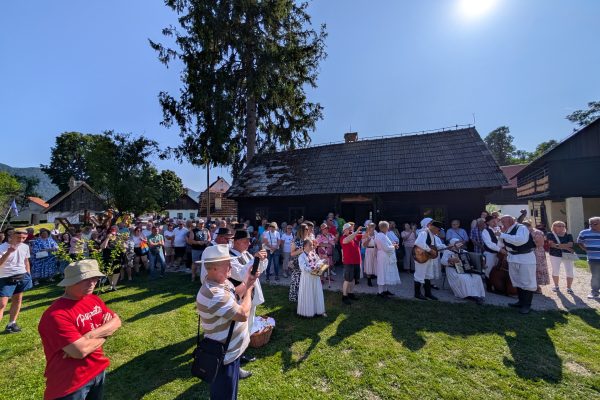 PXL_20250614_150131711.MP