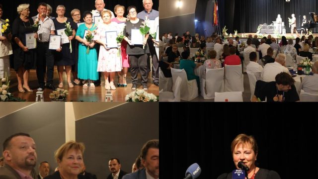 MixCollage-14-Aug-2025-01-53-PM-1584 (Copy)