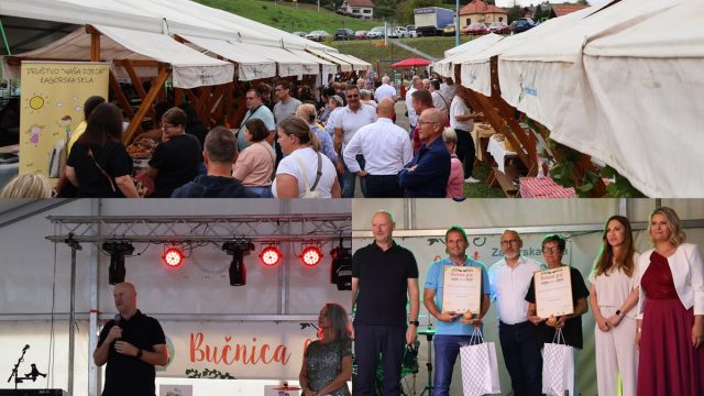 MixCollage-24-Aug-2025-03-56-PM-3020 (Copy)