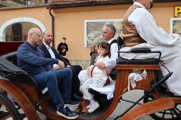 KZZ Branje grojzdja 002 (web)