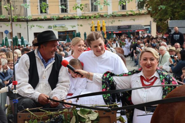 KZZ Branje grojzdja 021 (web)