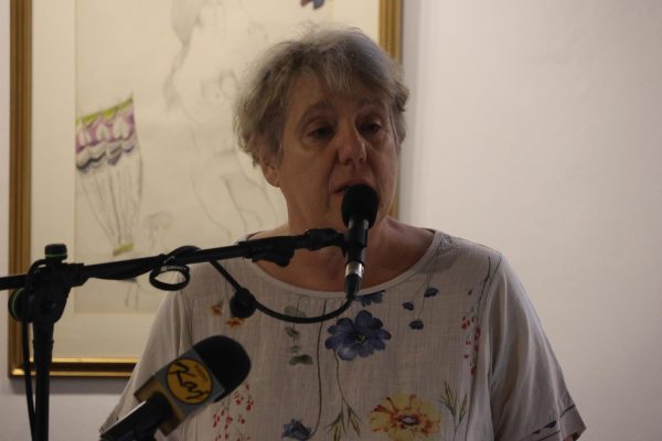 KZZ SKZ005 (web)