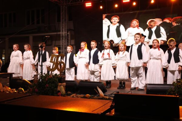 Sprehajanje (27) (Copy)