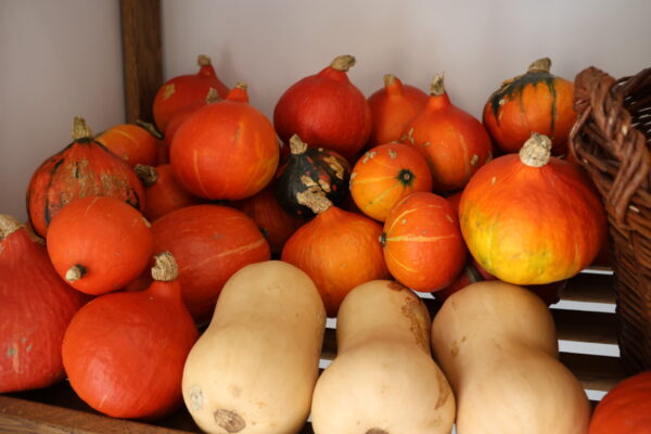 KZZ_0196