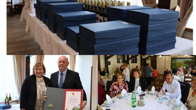 MixCollage-16-Oct-2025-09-55-AM-6329 (Copy)