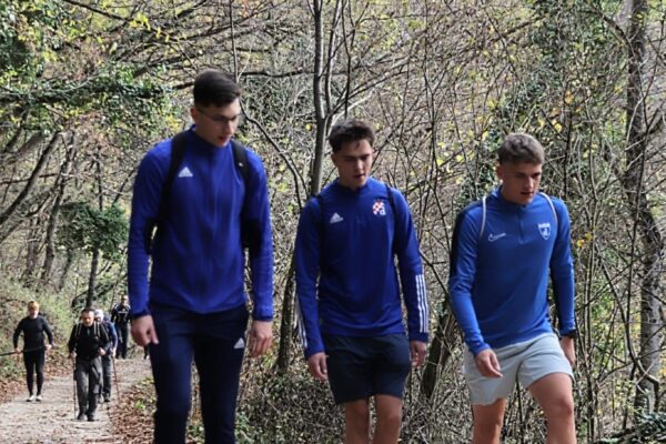 6cde8583-0904-4099-bb29-0202992d7b15