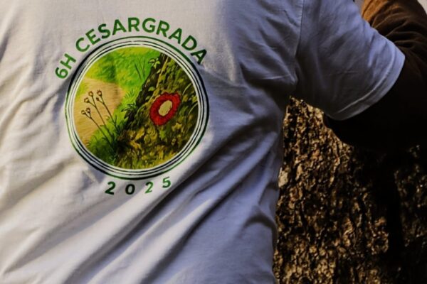 ae730cd9-cd43-43a0-b46e-8a8a21960654