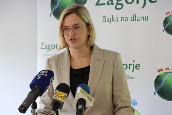 KZZ DZKZZ003 (web)