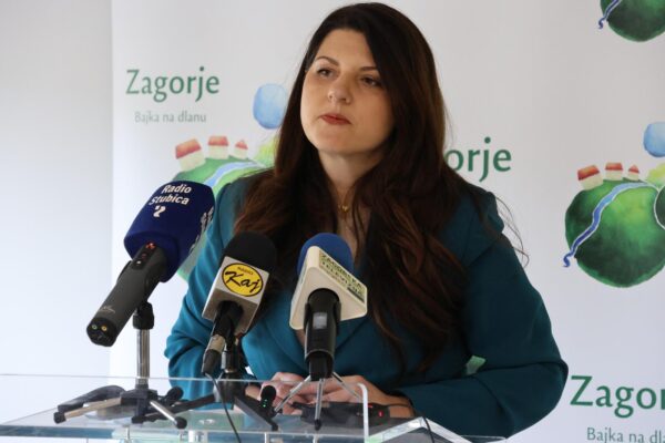 KZZ DZKZZ004 (web)