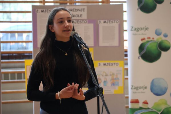 Likovno-literarni natječaj (11)