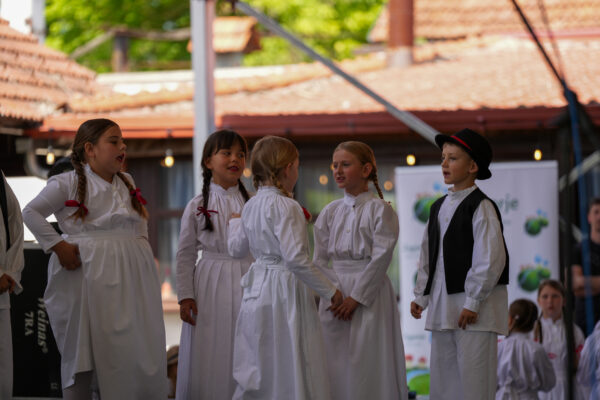 Štruklijada17 (3)