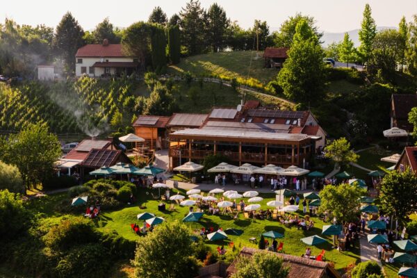 Vinogradi s pogledom_DJI-3 (web)