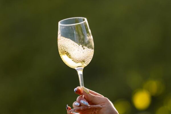 vinogradi s pogledom-072 (web)