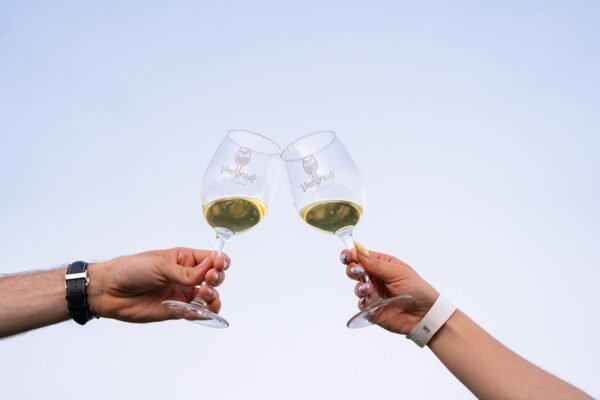 vinogradi s pogledom-133 (web)