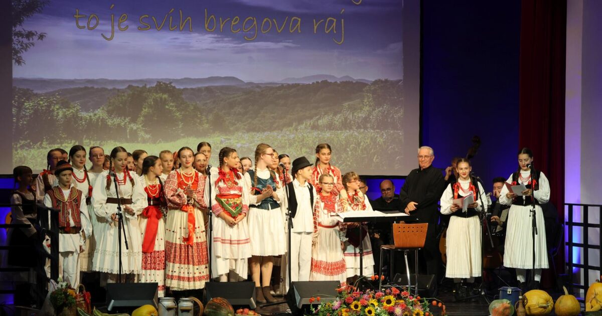 KZZ FESTIVAL ZLATAR002 (web)