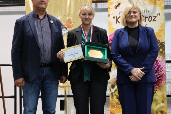 KZZ_9354